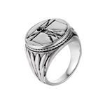 Load image into Gallery viewer, DA VINCI VITRUVIAN STAINLESS STEEL RING
