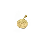 Load image into Gallery viewer, LION MANE ENGRAVED COIN STAINLESS STEEL PENDANT
