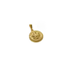Load image into Gallery viewer, HEAD OF MEDUSA STAINLESS STEEL PENDANT
