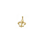 Load image into Gallery viewer, FLEUR DE LIS STAINLESS STEEL PENDANT
